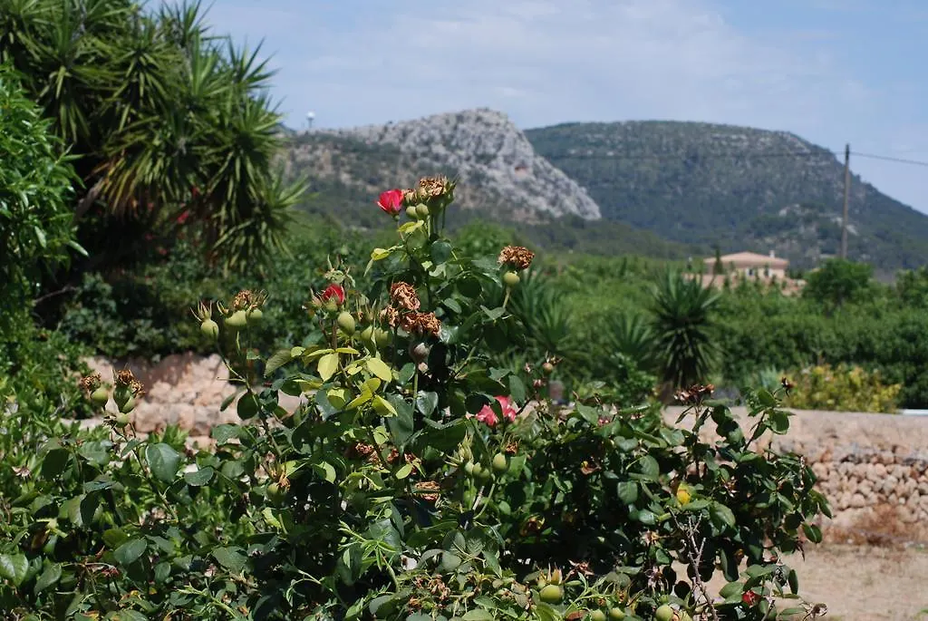 Country house Finca Can Paulino (Adults Only) Llucmajor  Spain