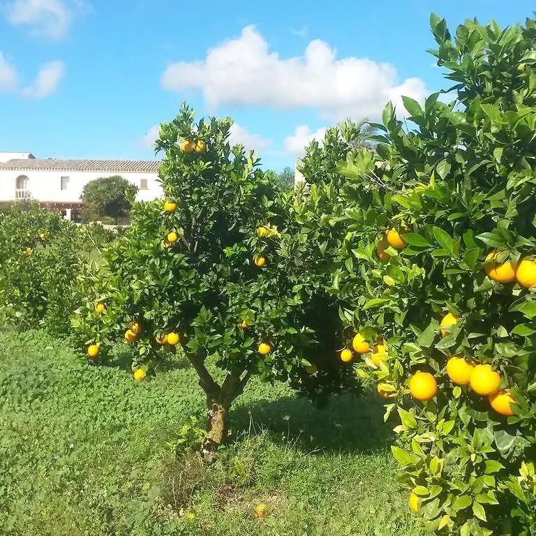 Finca Can Paulino (Adults Only) Llucmajor  Country house