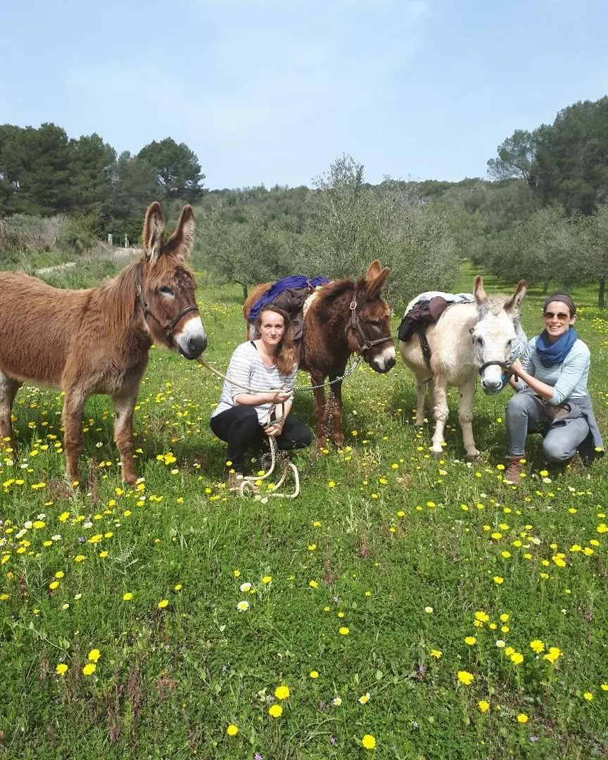 Finca Can Paulino (Adults Only) Llucmajor  0*, Llucmajor (Mallorca)