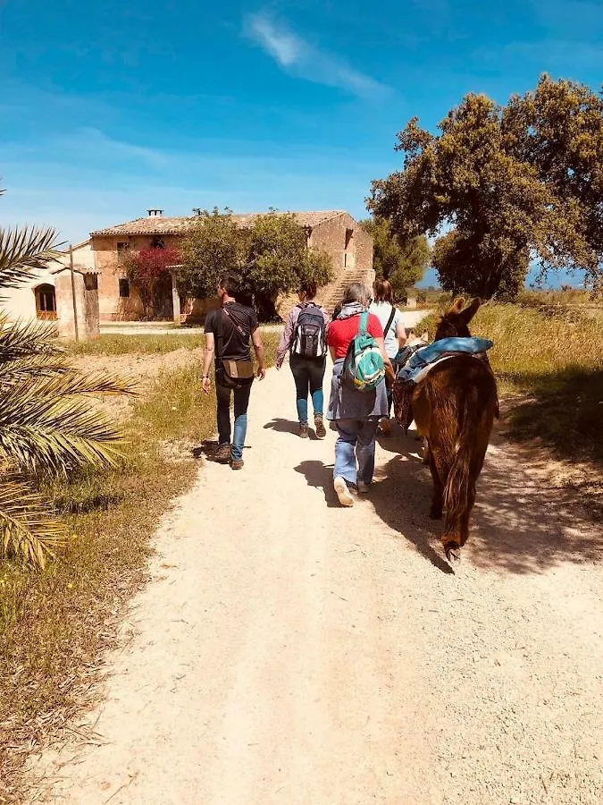 Finca Can Paulino (Adults Only) Llucmajor  Country house