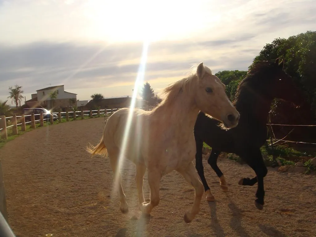Finca Can Paulino (Adults Only) Llucmajor  0*, Llucmajor (Mallorca)